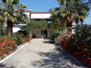 a house with palm trees and flowers on a driveway at Elea Guesthouse in Galaxidi