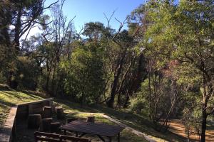 een picknicktafel en banken in een park met bomen bij The Ledge Holiday House in Halls Gap +3 foto's