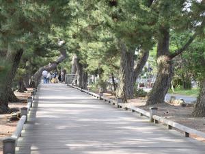 a walkway lined with trees in a park at Hotel Hagoromo in Shizuoka