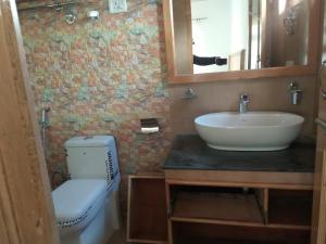 a bathroom with a sink and a toilet and a mirror at Gangs-Shun Homestay in Leh