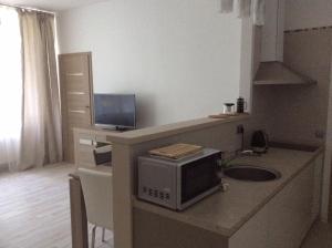 een keuken met een aanrecht met een magnetron en een computer erop bij Taikos Apartmentai 2 in Druskininkai