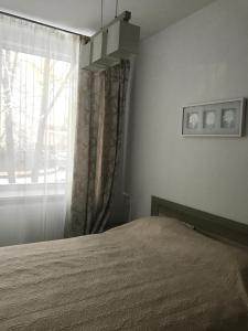 een slaapkamer met een bed en een raam bij Taikos Apartmentai 2 in Druskininkai