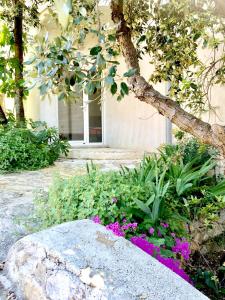 a garden with flowers in front of a building at Apartments Roko in Mali Iž