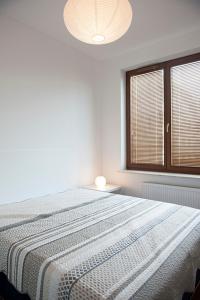 Katil atau katil-katil dalam bilik di DOMOTEL MOKOTÓW