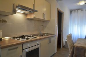 Kuchyň nebo kuchyňský kout v ubytování Apartments Dumencic Rab