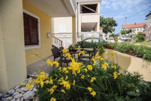 Zahrada ubytování Apartments Phoenix