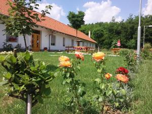 un giardino fiorito di fronte a una casa di Akácliget Vendégház és Major a Ófehértó