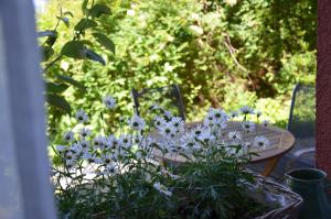 uma mesa com um ramo de flores azuis na frente dela em Apartmán Srdce Vltavy em Horní Planá