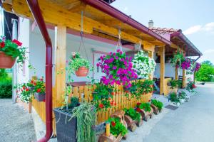 Zahrada ubytování Guesthouse Ella