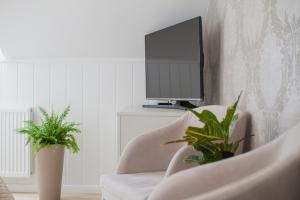a living room with a tv and two potted plants at Penzión Kúria in Nové Mesto nad Váhom