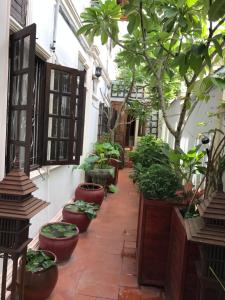 une cour avec des plantes en pot sur le côté d'un bâtiment dans l'établissement View Khemkhong Guesthouse, à Luang Prabang