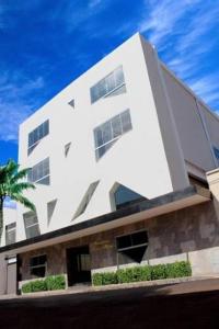 a white building with a palm tree in front of it at Itumbiara Palace Hotel in Itumbiara