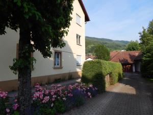 Gallery image of Wehr Orchidee Apartment in Wehr