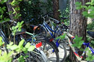Rattasõit majutusasutuse Hotel Princi i Vogel aladel või selle läheduses