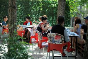 Hosté ubytování Hotel Princi i Vogel