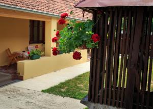 Zahrada ubytování Fortuna Apartments