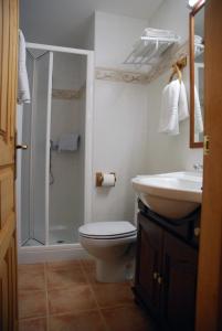 a bathroom with a shower and a toilet and a sink at Apartamento el Patio Casa Cajal in Torla