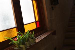 Fotografie z fotogalerie ubytování Villa Vittoria v destinaci Rabat