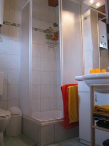 ein Bad mit einer Dusche und einem WC in der Unterkunft Kellerstöckl Prantner & Haus Wohlauf in Rechnitz