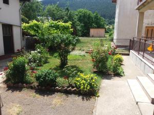 Zahrada ubytování Apartment Hinic