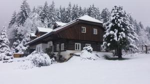 Apartmány U Šakala v zime