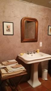 a bathroom with a sink and a mirror at La vignolle in Saint-Amand-de-Coly +11 photos