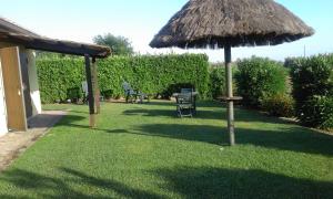 parasol trawy i krzesło na dziedzińcu w obiekcie Monolocale con giardino w mieście Castiglione della Pescaia