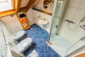 a bathroom with a shower and a toilet and a sink at Ferienwohnungen Ender in Sebnitz +36 photos