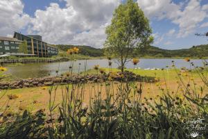 Paisagem natural perto do hotel