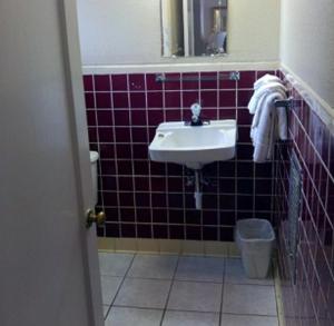 a bathroom with a sink and a toilet at Western Inn Hamilton in Hamilton