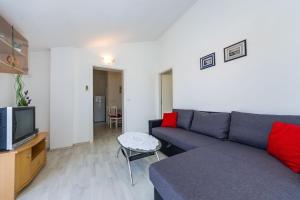TV a/nebo společenská místnost v ubytování Apartment Juresko