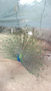 Gallery image of Quinta Do Vaqueirinho - Agro-Turismo in Marvão