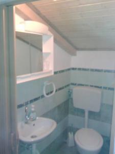 ein Badezimmer mit einem weißen WC und einem Waschbecken in der Unterkunft Apartment Anetica in Cres