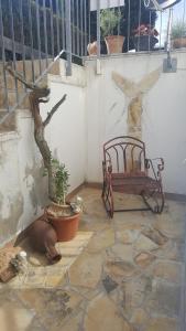 ławkę i doniczkę na kamiennej podłodze. w obiekcie MinSion 38 w mieście Altdorf