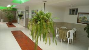 Fotografie z fotogalerie ubytování Hotel Napolitano v destinaci Villavicencio