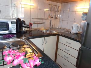 Kuchyň nebo kuchyňský kout v ubytování I & S Apartments
