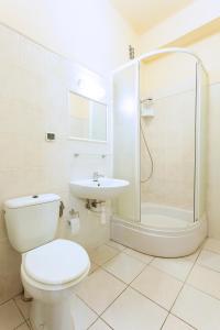a bathroom with a toilet and a shower and a sink at Apartament Izaaka in Krakow