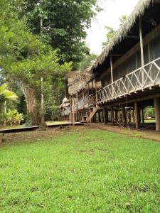 a building with a grass roof and a yard at Lodge Jungle Wolf Expeditions in Yucuruche