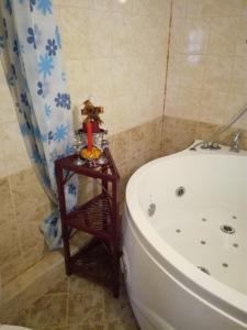 A bathroom at Hadjibulevata Guest House