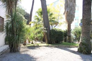 サンレモにあるIntimo e Accoglienteのヤシの木が茂る庭