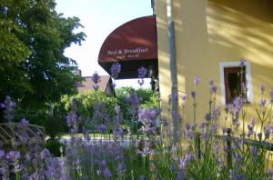 a bunch of purple flowers in front of a building at Kågeröds Värdshus Tre Stjärnor in Kågeröd +5 photos