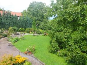 a garden with a green lawn and a tree at Gîte Découverte Alsace in Kuhlendorf