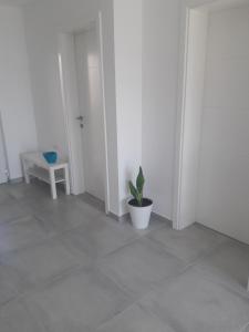 Fotografie z fotogalerie ubytování Apartments Villa Plava v destinaci Klek