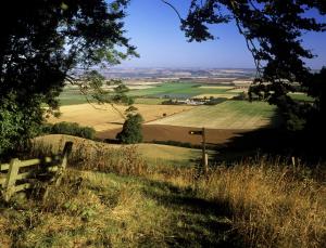 a view of a field from a hill with a bench at Wolds Cottage Pocklington in Pocklington +5 photos