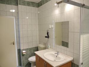 a bathroom with a sink and a toilet at Albízia Apartments in Balatonfüred +41 photos