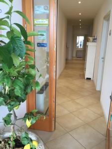 Kép Agriturismo Nonna Bettina szállásáról Monigában a galériában
