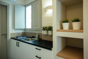 a kitchen with a sink and some potted plants at Filoxenion Luxury Rooms & Lofts in Nafplio +91 photos