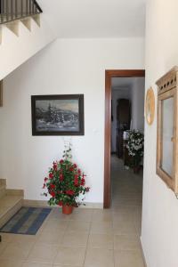 Fotografie z fotogalerie ubytování Palmas Dorada Home v destinaci Olmedo