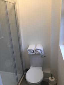 a bathroom with a toilet and a glass shower at O'Loughlin's Bar in Miltown Malbay +4 photos
