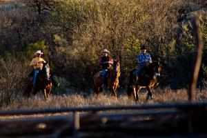 three people riding on horses in a field at Rancho de la Osa Guest Ranch in Sasabe